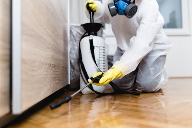 Best Rat Extermination Near Me  in Lindsay, OK