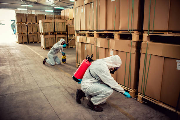 Best Flea Control Services  in Lindsay, OK