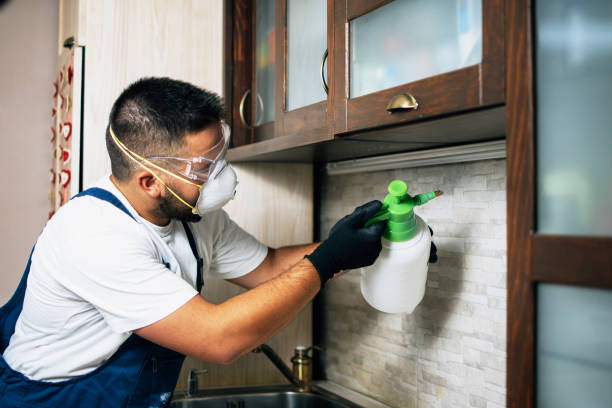 Best Termite Control Services  in Lindsay, OK
