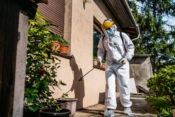 Best Spider Control Near Me  in Lindsay, OK