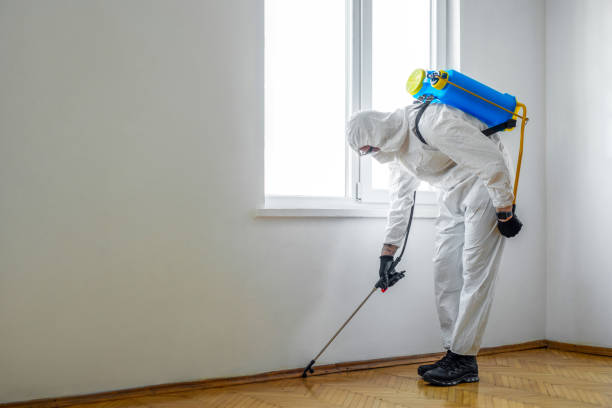 Pest Control for Restaurants in Lindsay, OK