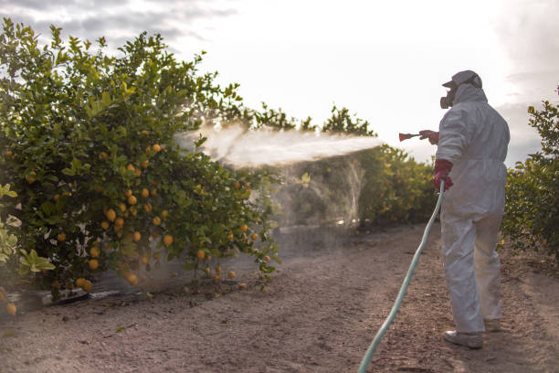 Best Cockroach Control Services  in Lindsay, OK