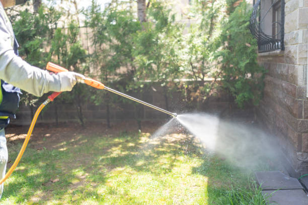 Best Wildlife Control Services  in Lindsay, OK