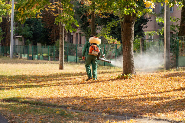 Insect Control in Lindsay, OK