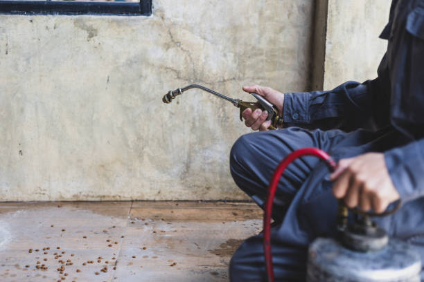 Best Pest Control Near Me  in Lindsay, OK